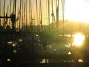 Sunrise over the Marina.